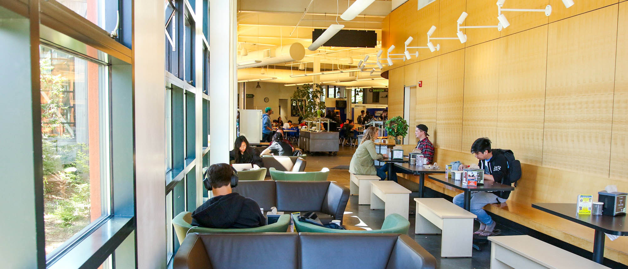UCSC dining hall showing students eating, studying, and socializing