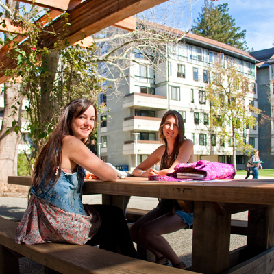 Students studying in Porter College plaza