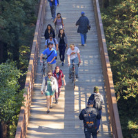 UCSC is set in the redwoods.  Students go to class across a bridge.