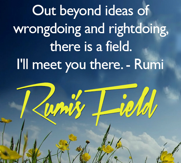 Rumi's Field Quote