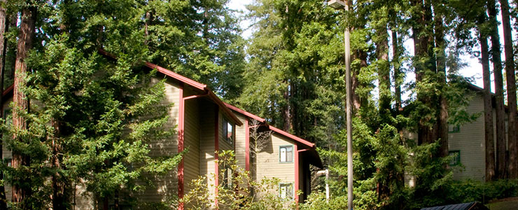 Summer Housing at Redwood Grove